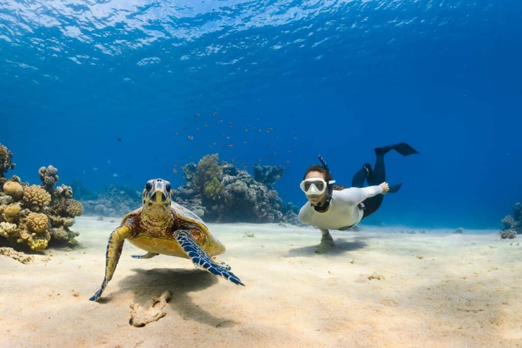 Diving the Watamu Marine National Park Reef