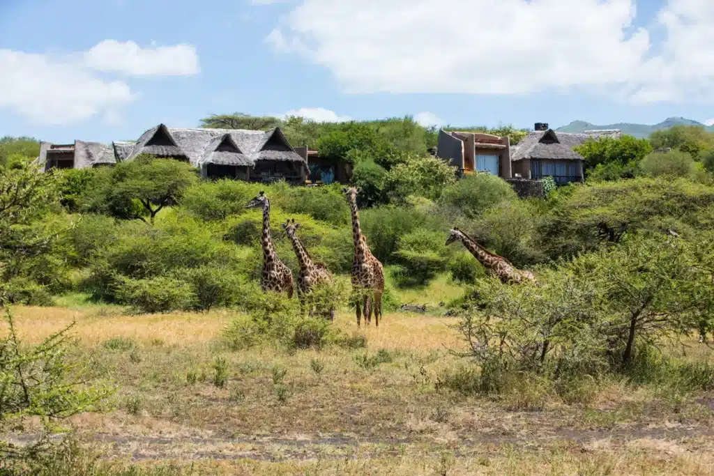 ol Donyo Lodge