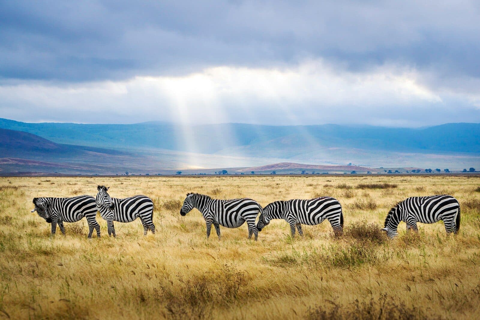 Tanzania Overview weather