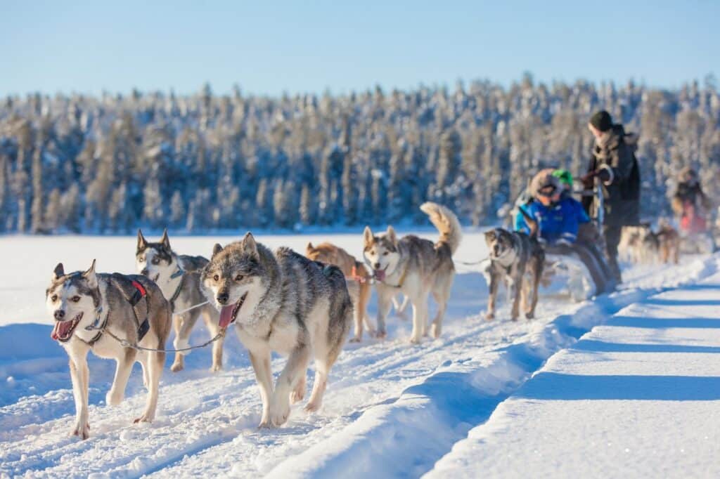 Luxury Finland: Helsinki, Lapland and the Northern Lights