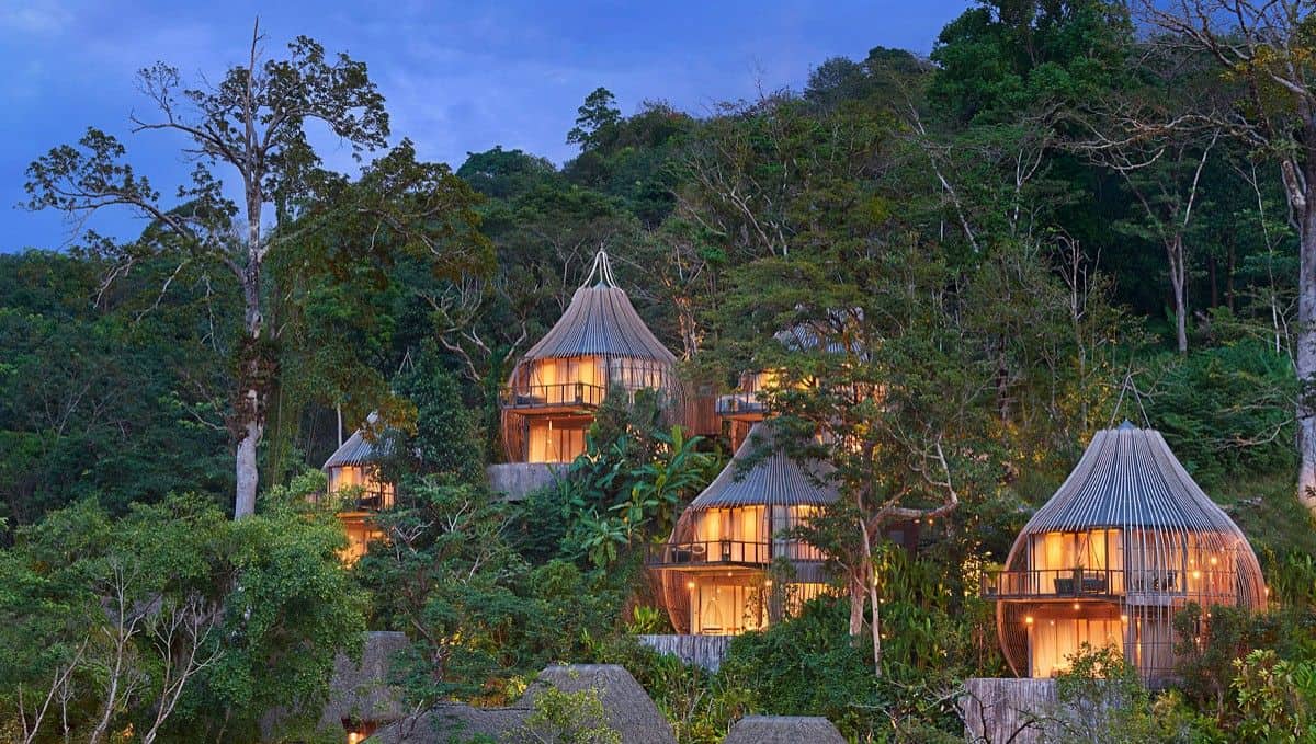 Tree Pool House