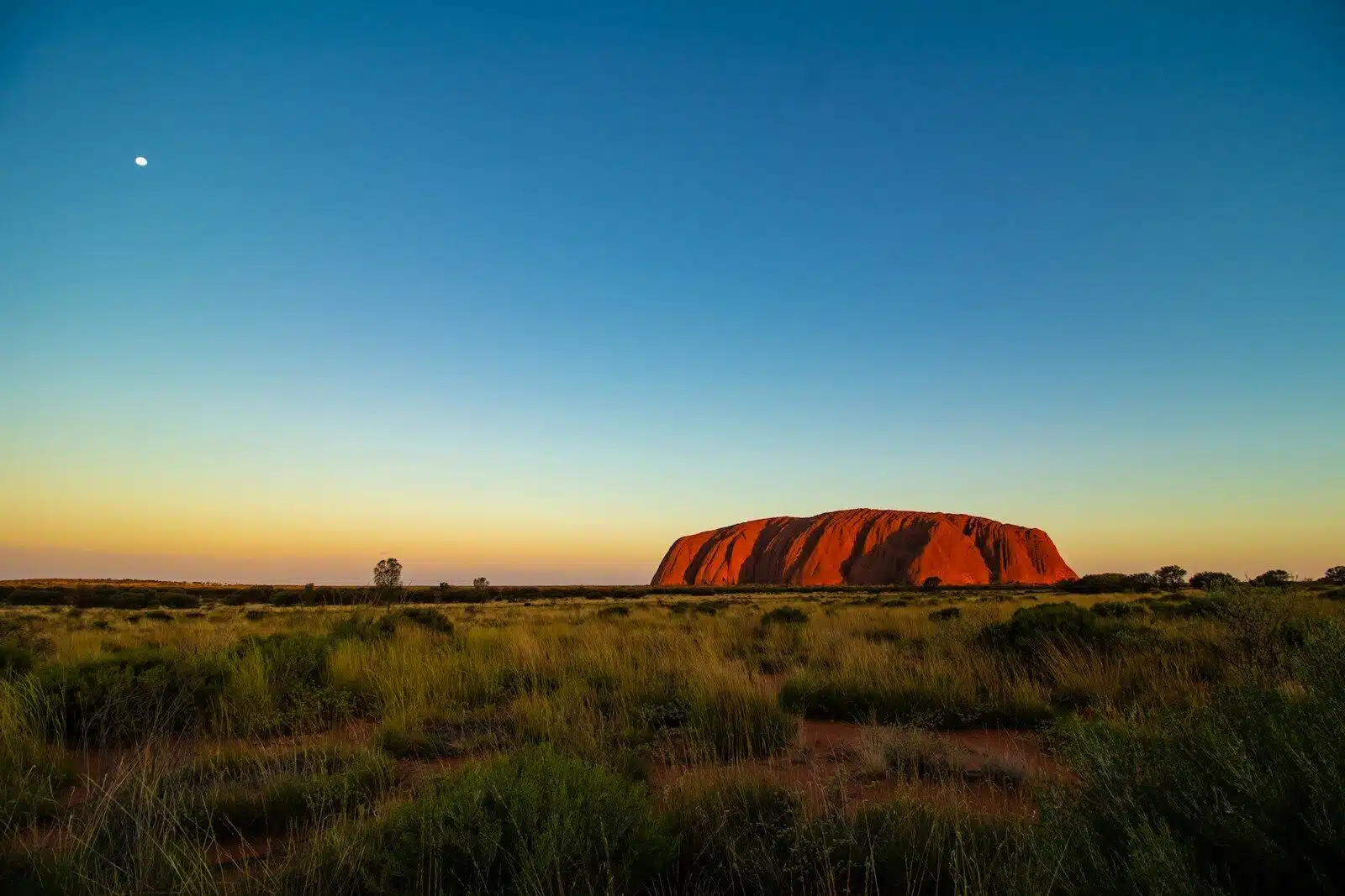 Sunrise Helicopter Flight & Secluded Dunes Dining in Uluru