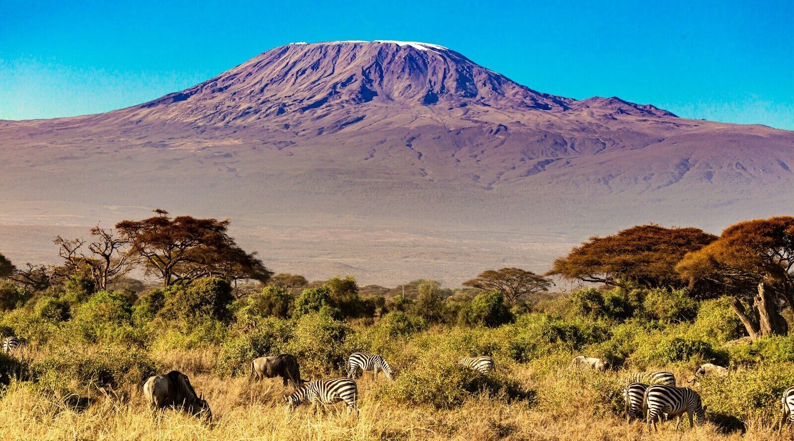 Days 2-4: Amboseli