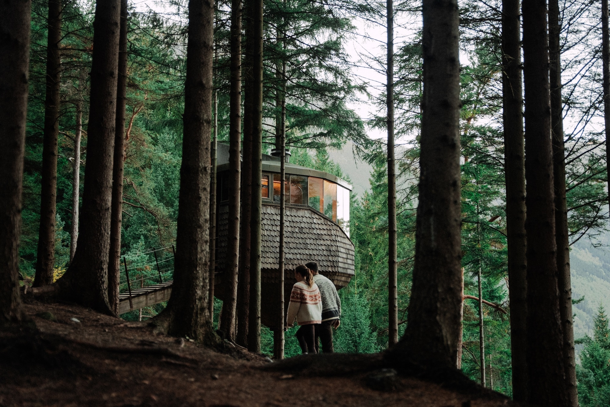 Woodnest