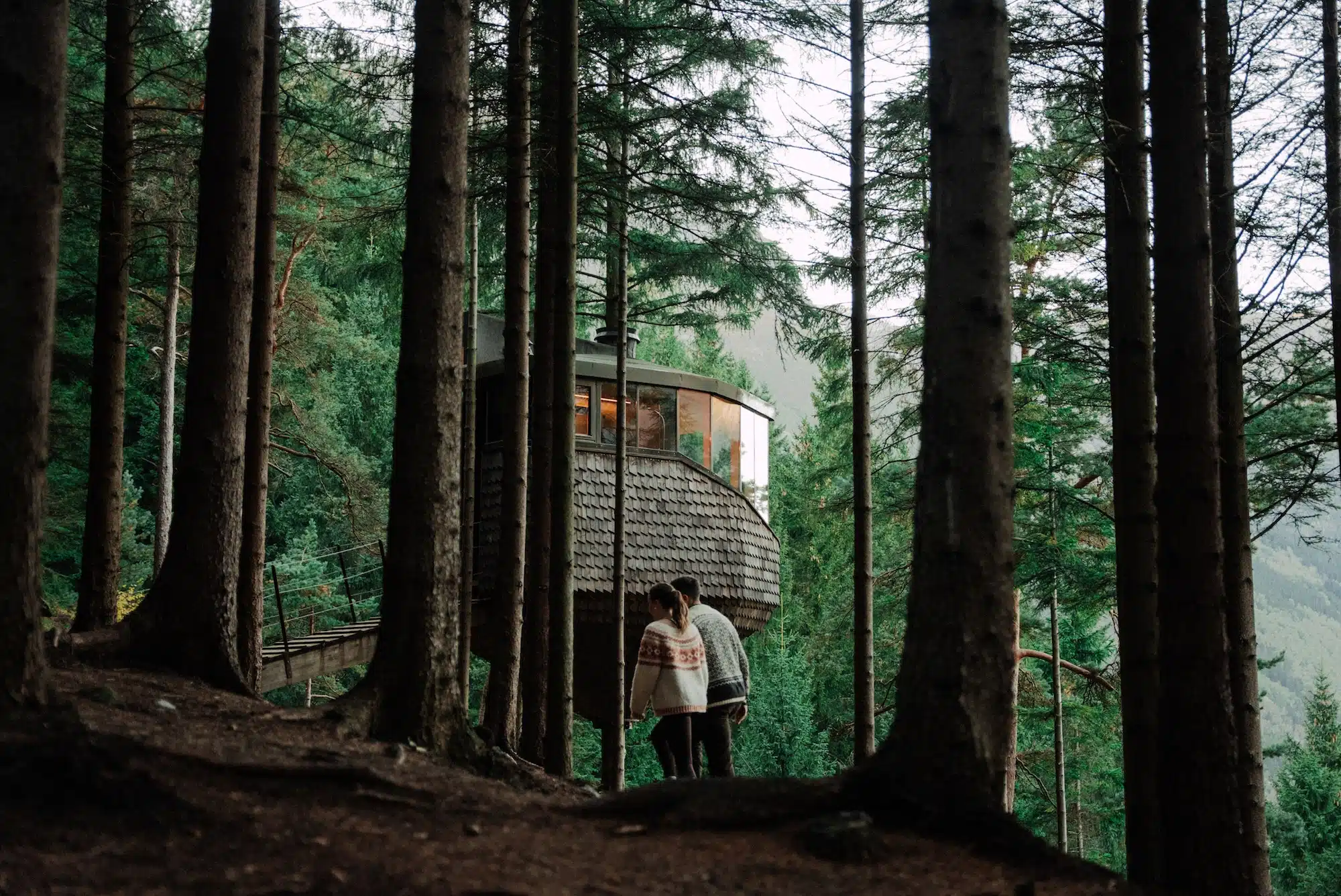 Woodnest