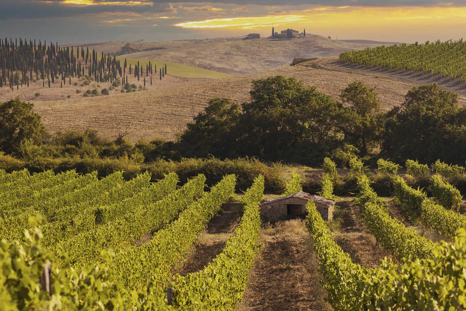 A Private Cellar in Montalcino