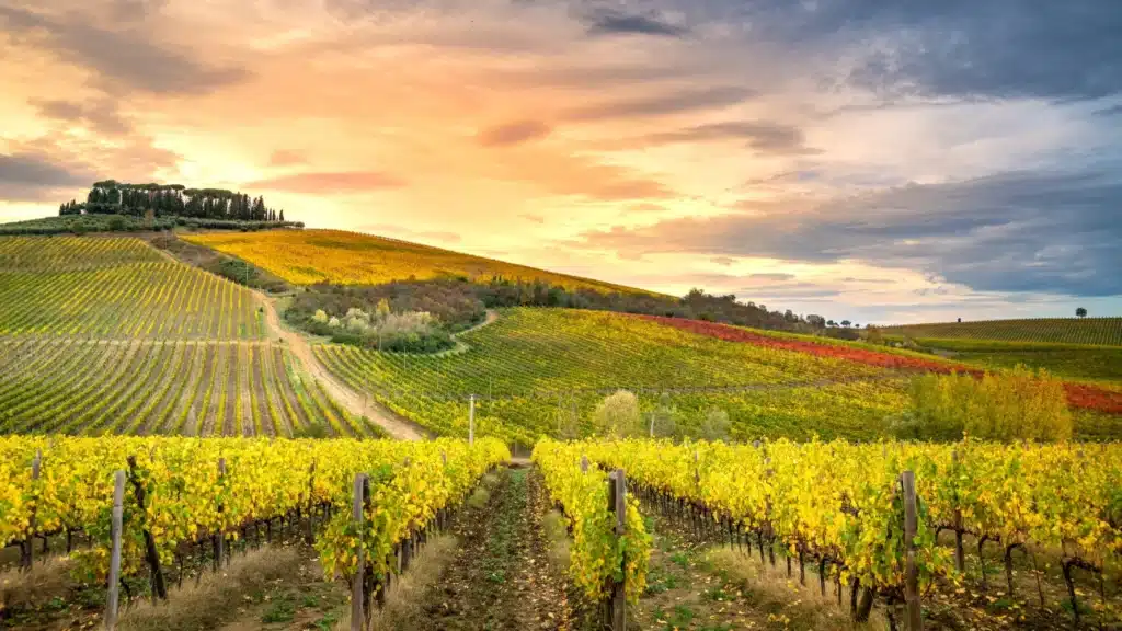 Chianti