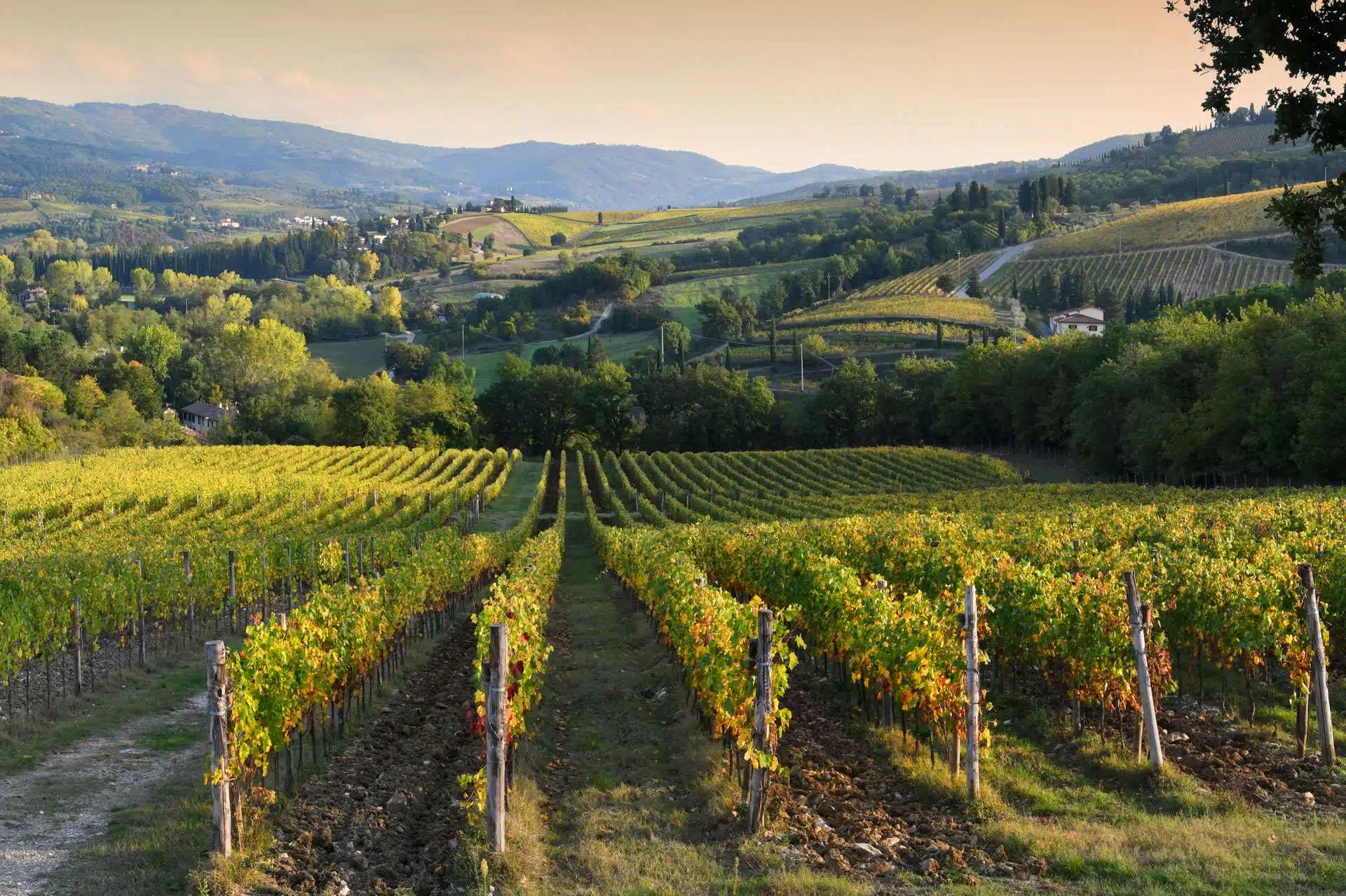 Tuscany Uncovered