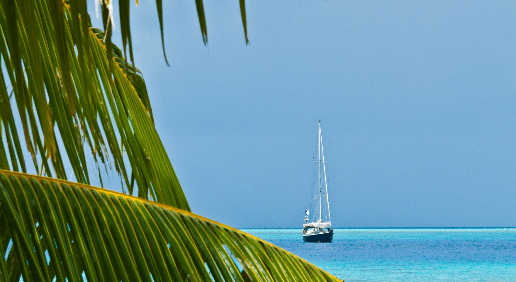 Pearl Farming in the Tuamotu Archipelago