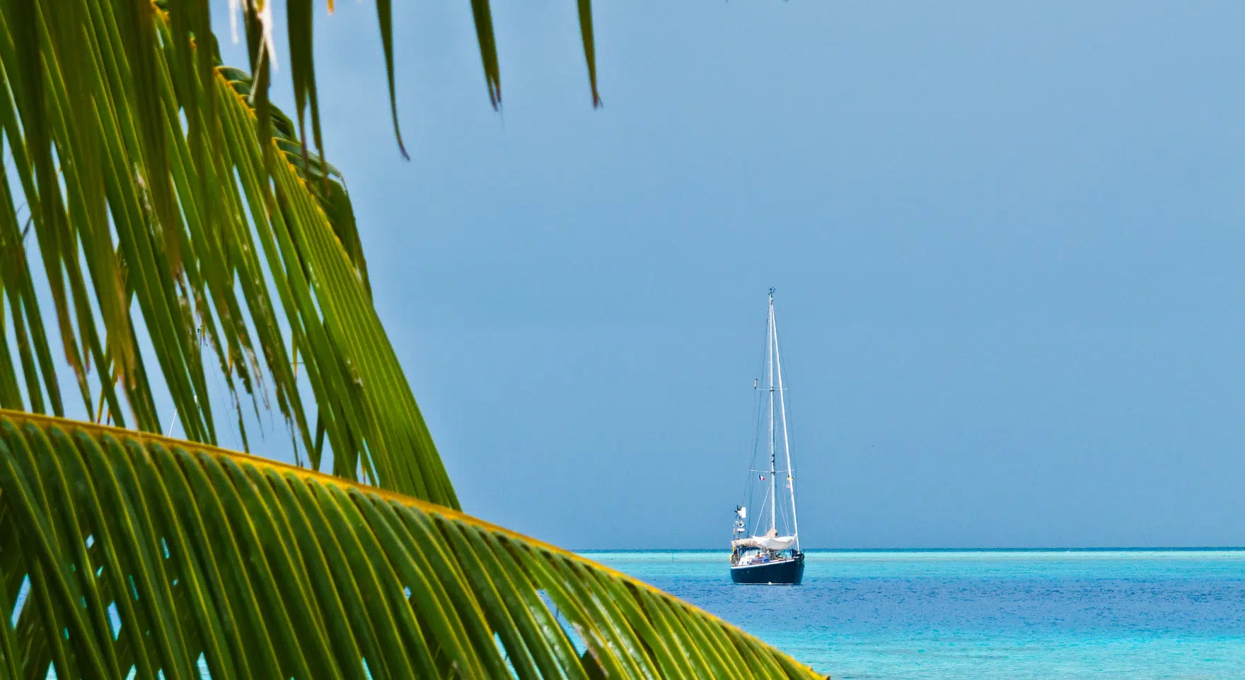 Pearl Farming in the Tuamotu Archipelago