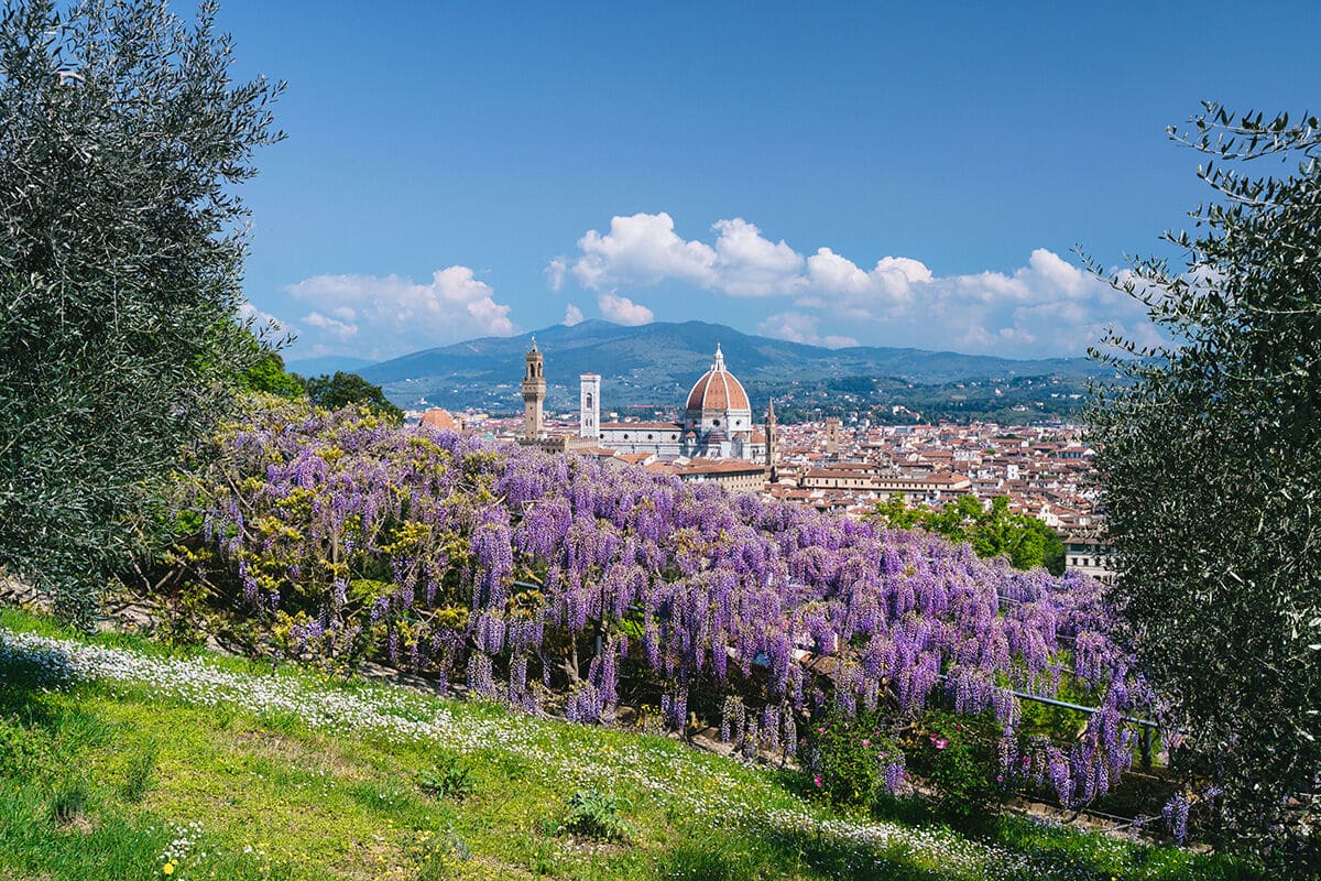 Gardens and Open Space: The City's Quieter Geography