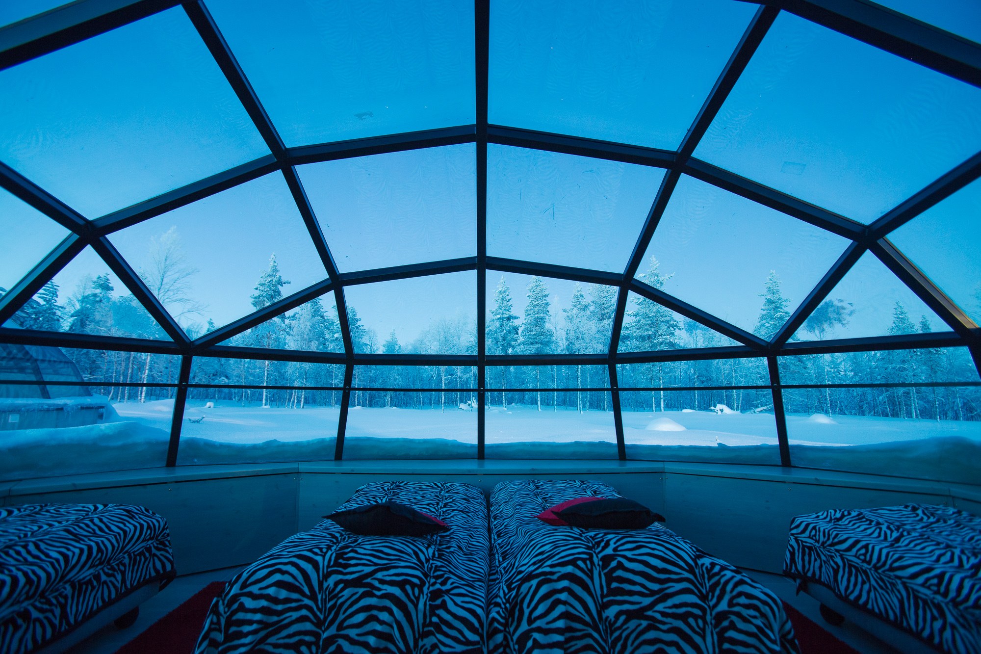 Glass Igloos