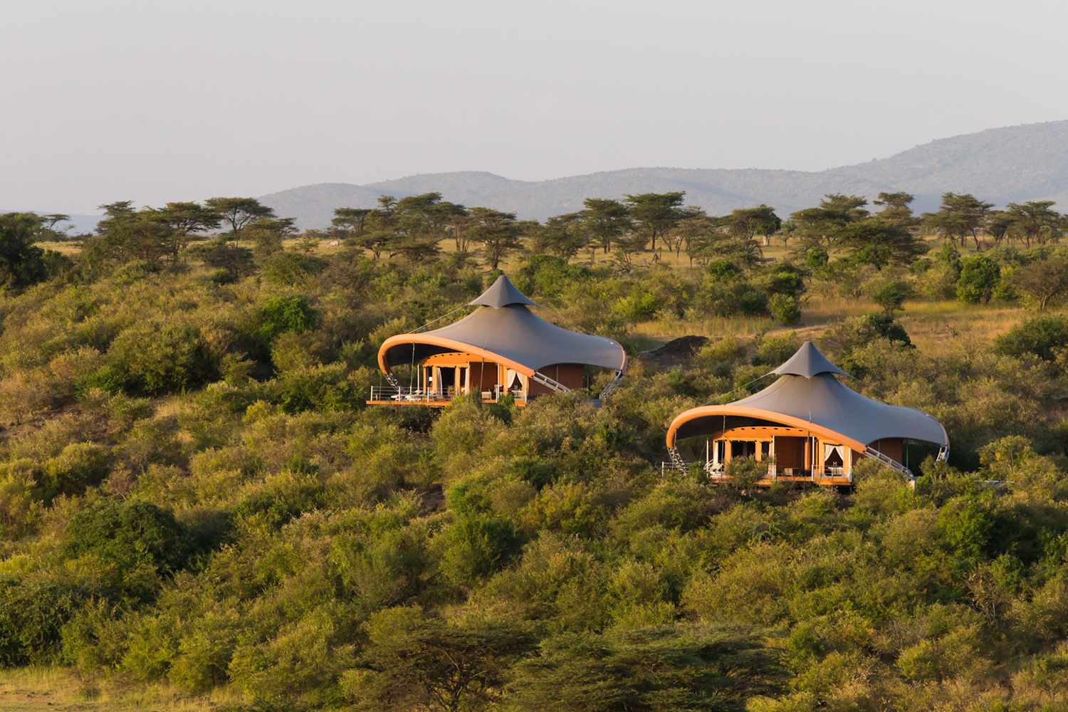 The Maasai Mara: Private Camps and the Intimacy of the Bush