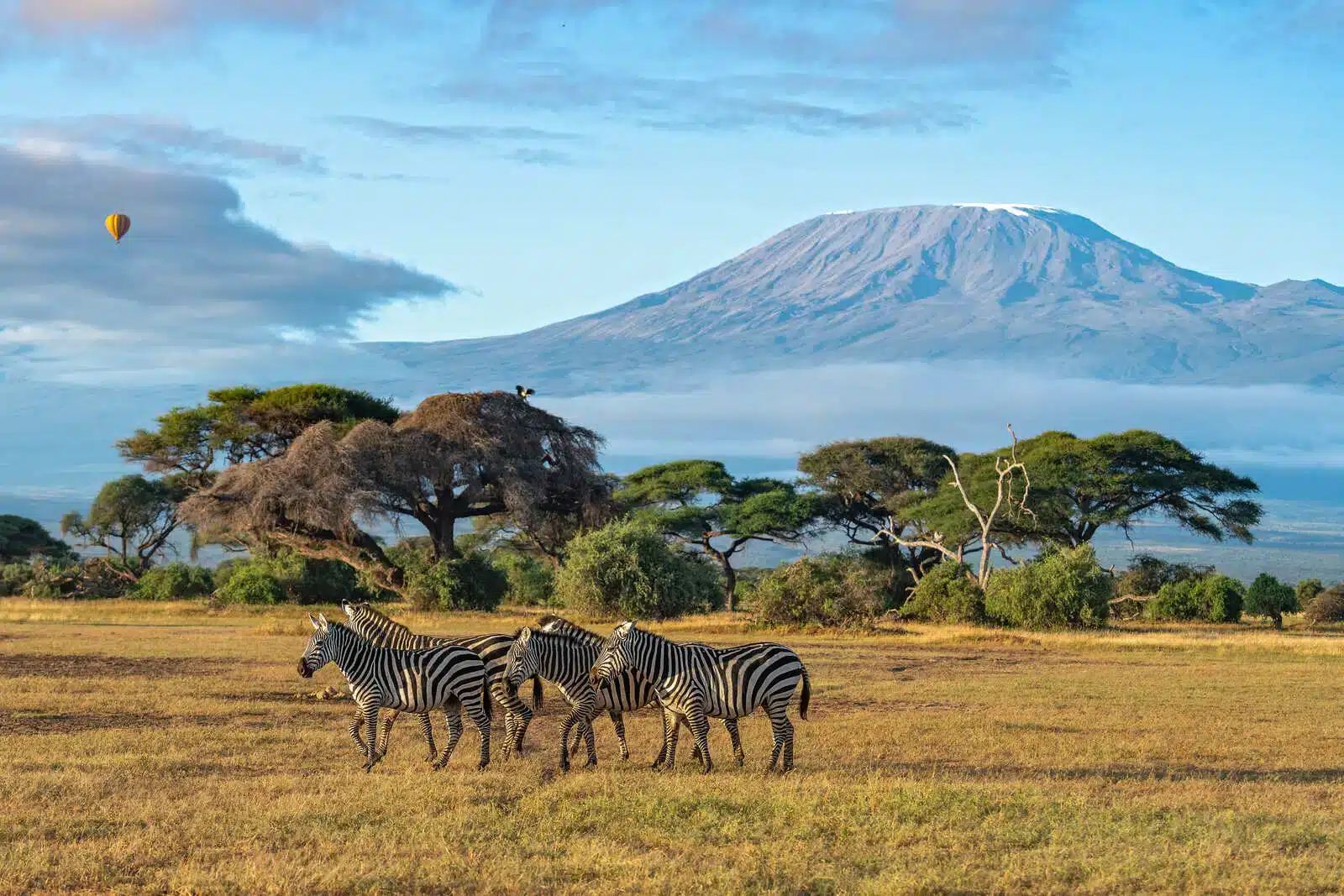 Why Kenya Works as a Honeymoon Destination