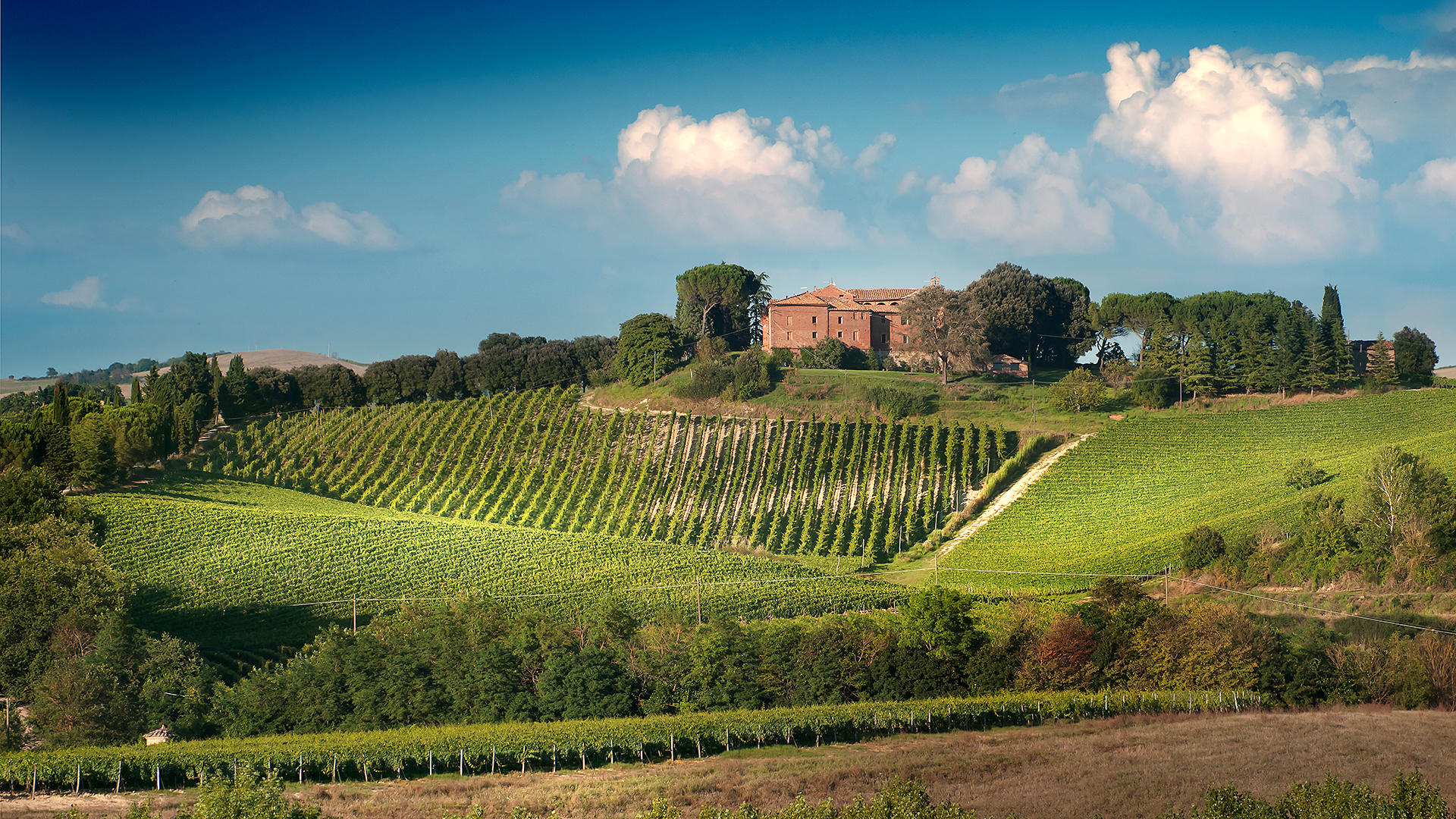 Montalcino