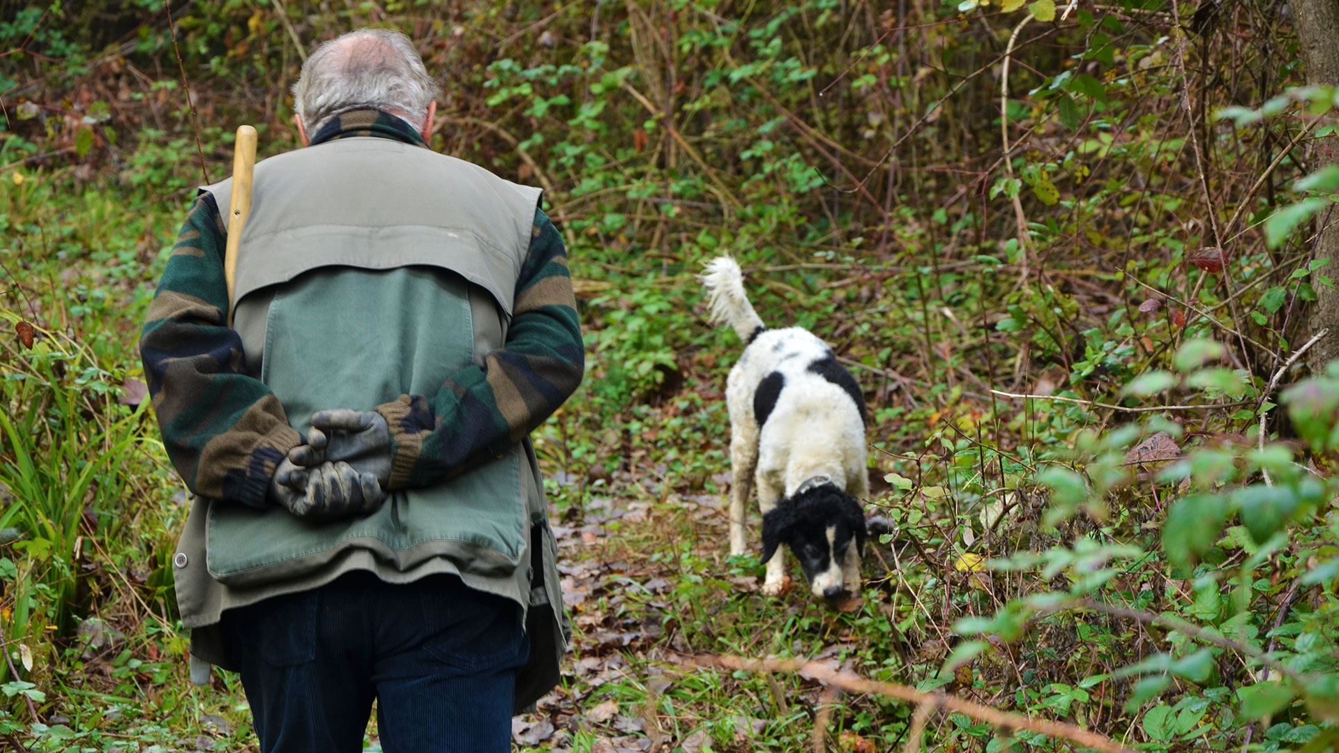 Truffle Hunting in the Crete Senesi
