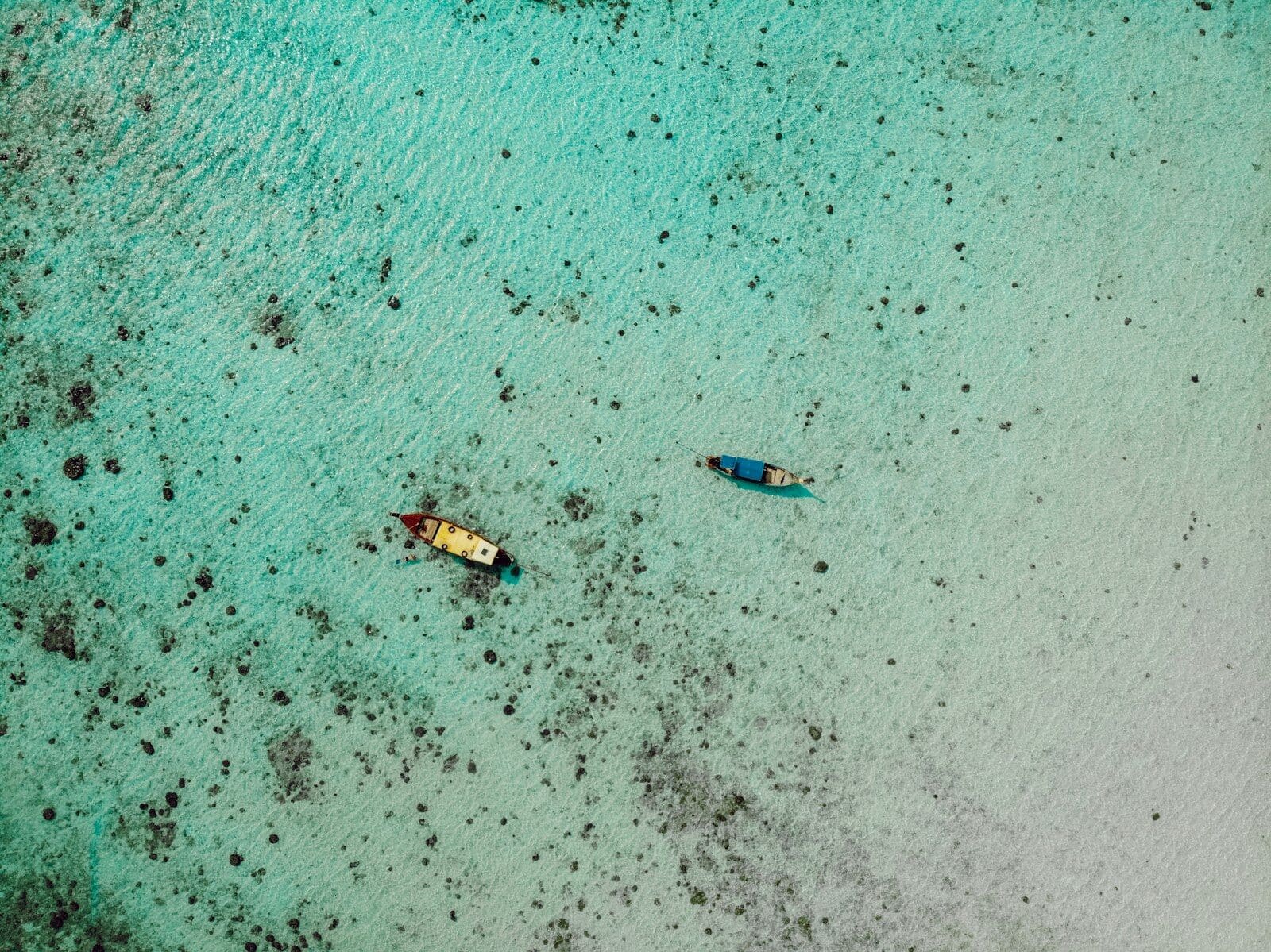 Bora bora