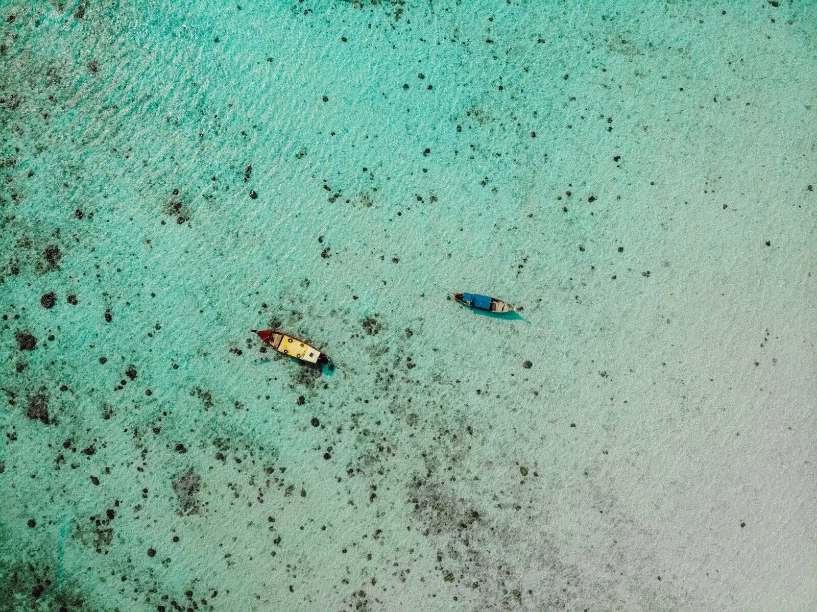 Bora bora