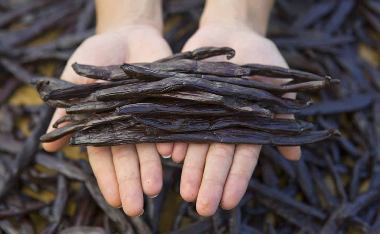family-owned vanilla farms
