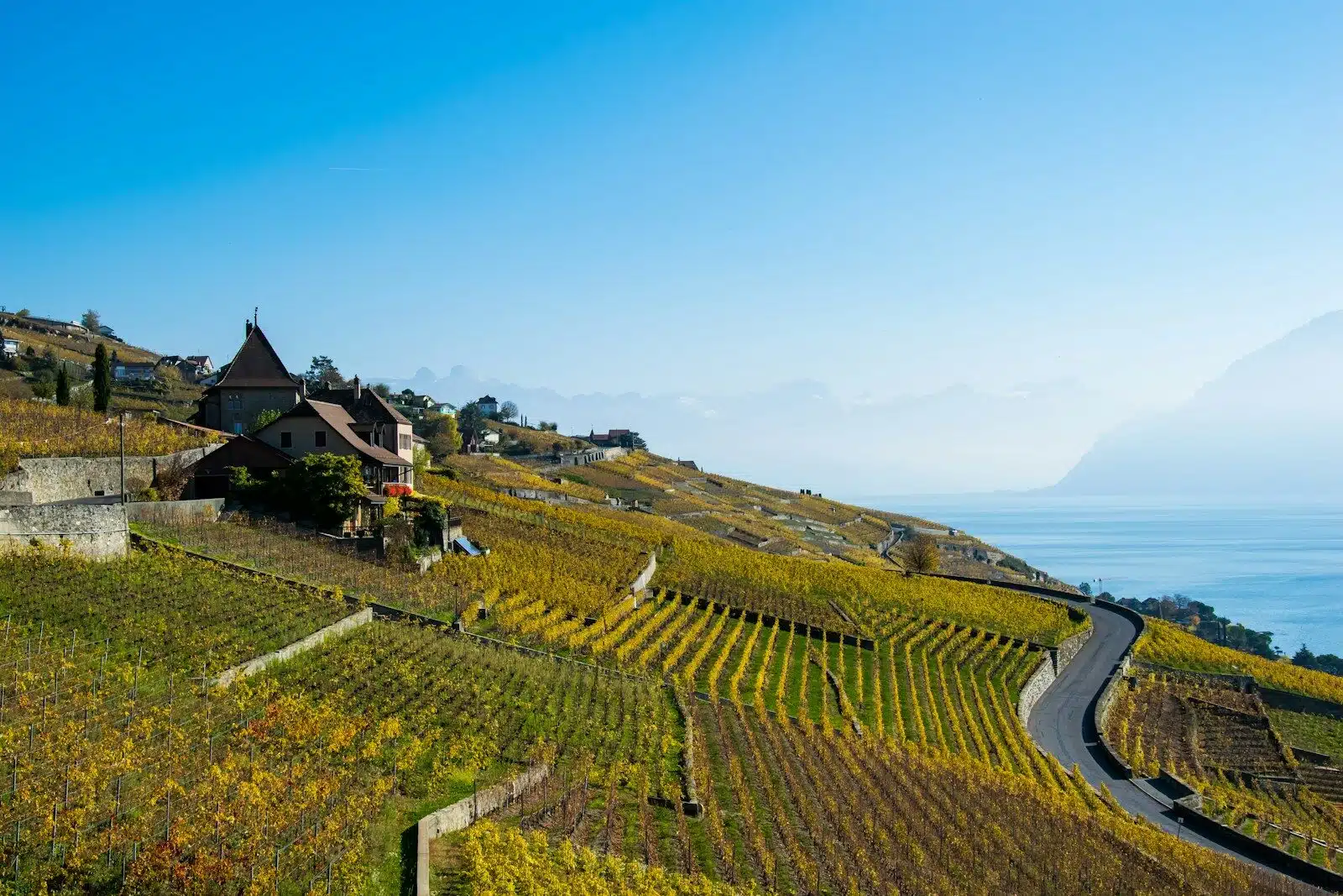 Explore the Lavaux Vineyards