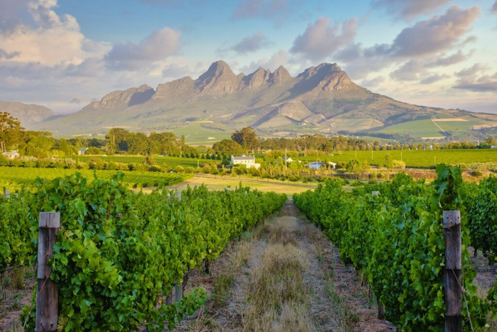Winelands