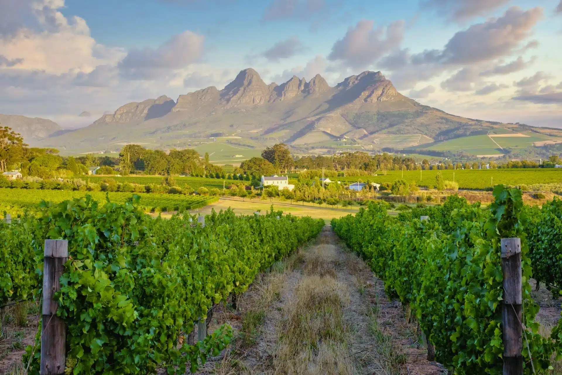 Stellenbosch or Franschhoek? Where to Stay in the Cape Winelands
