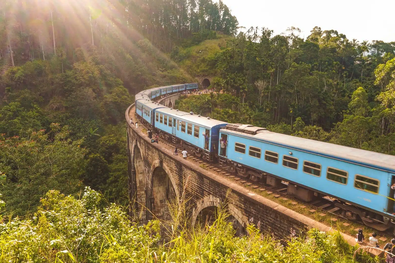 Take a Scenic Train Through Tea Country
