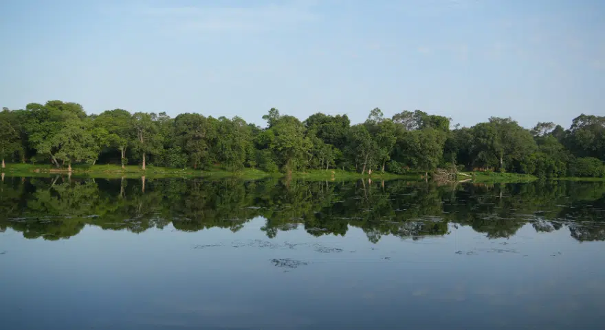 Trees line the shore of Tonlé Sap Lake, reflected in the still water.