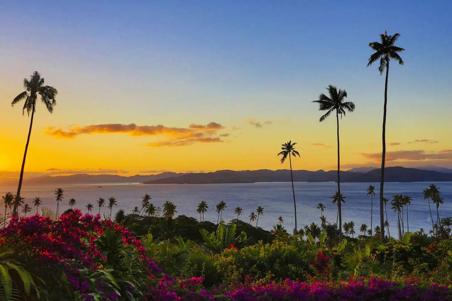 Two Seasons: When to Go to Fiji and Why It Matters