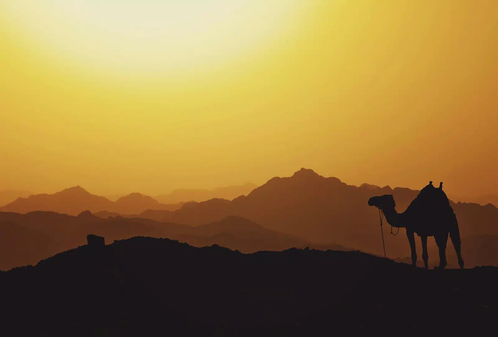 valley of the kings tour