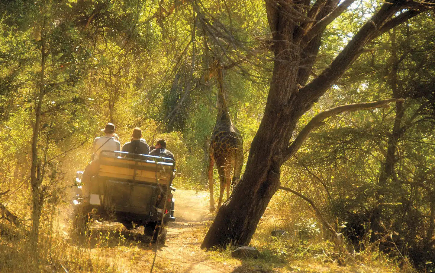 The Green Season: New Life, Dramatic Skies and Fewer Visitors
