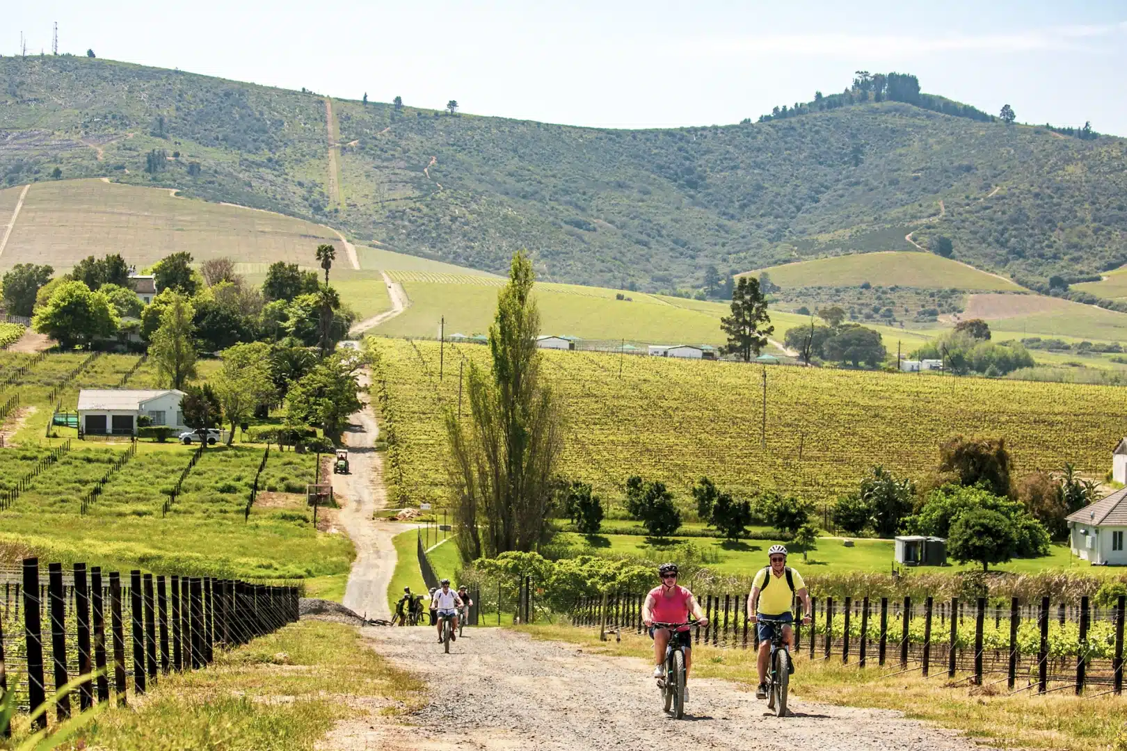 Day Two: Cycling the Vineyards and Into Franschhoek