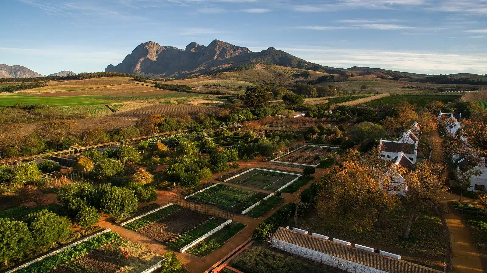 Franschhoek: Gardens, Heritage, and the Table That Matters