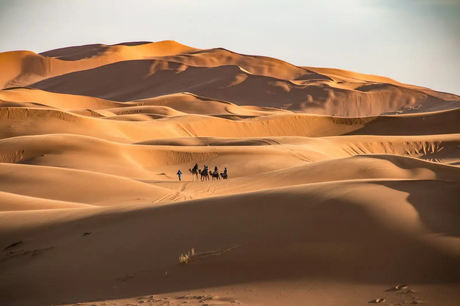 Sahara Nights: A Private Desert Camp at Erg Chebbi