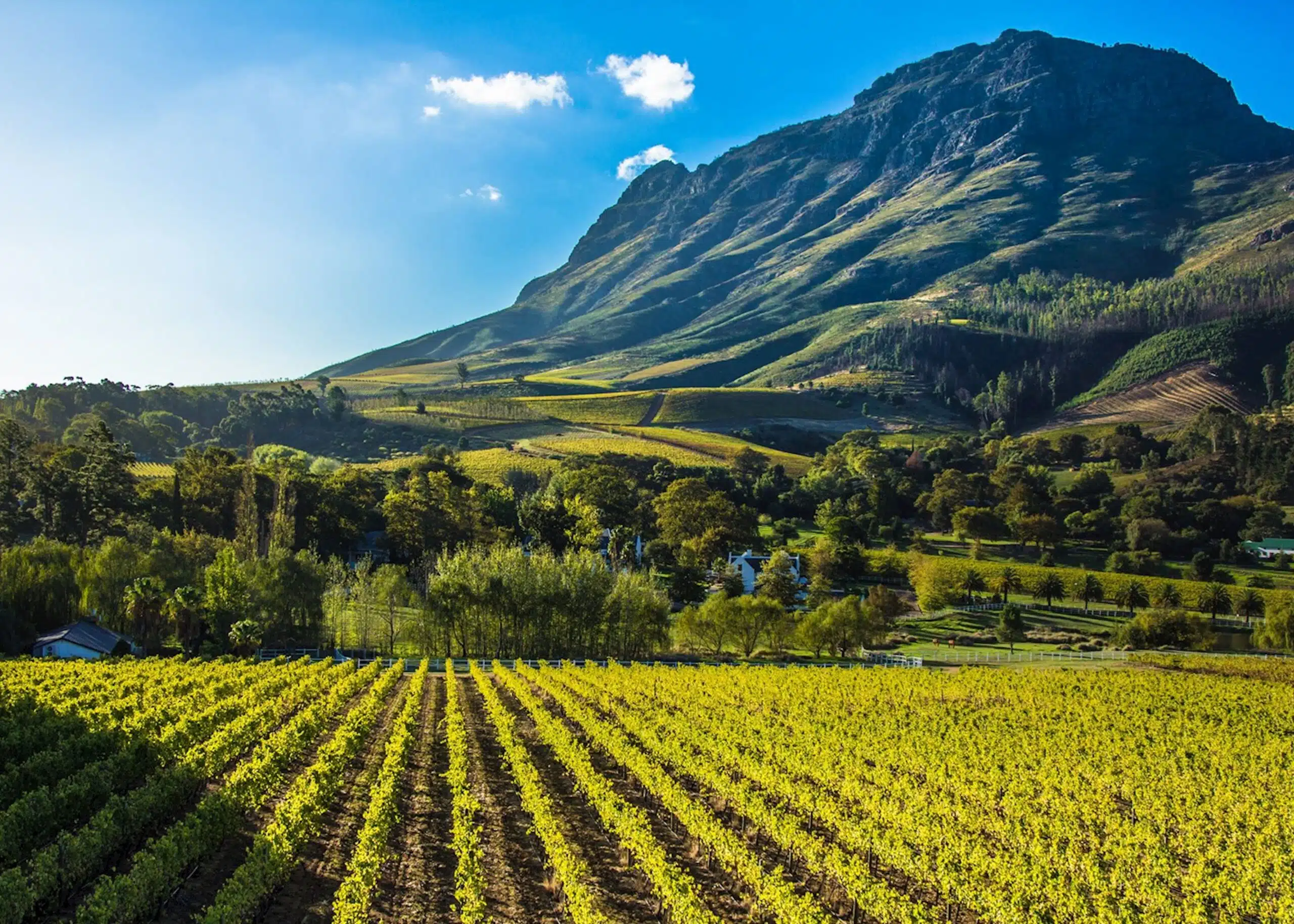 Winelands