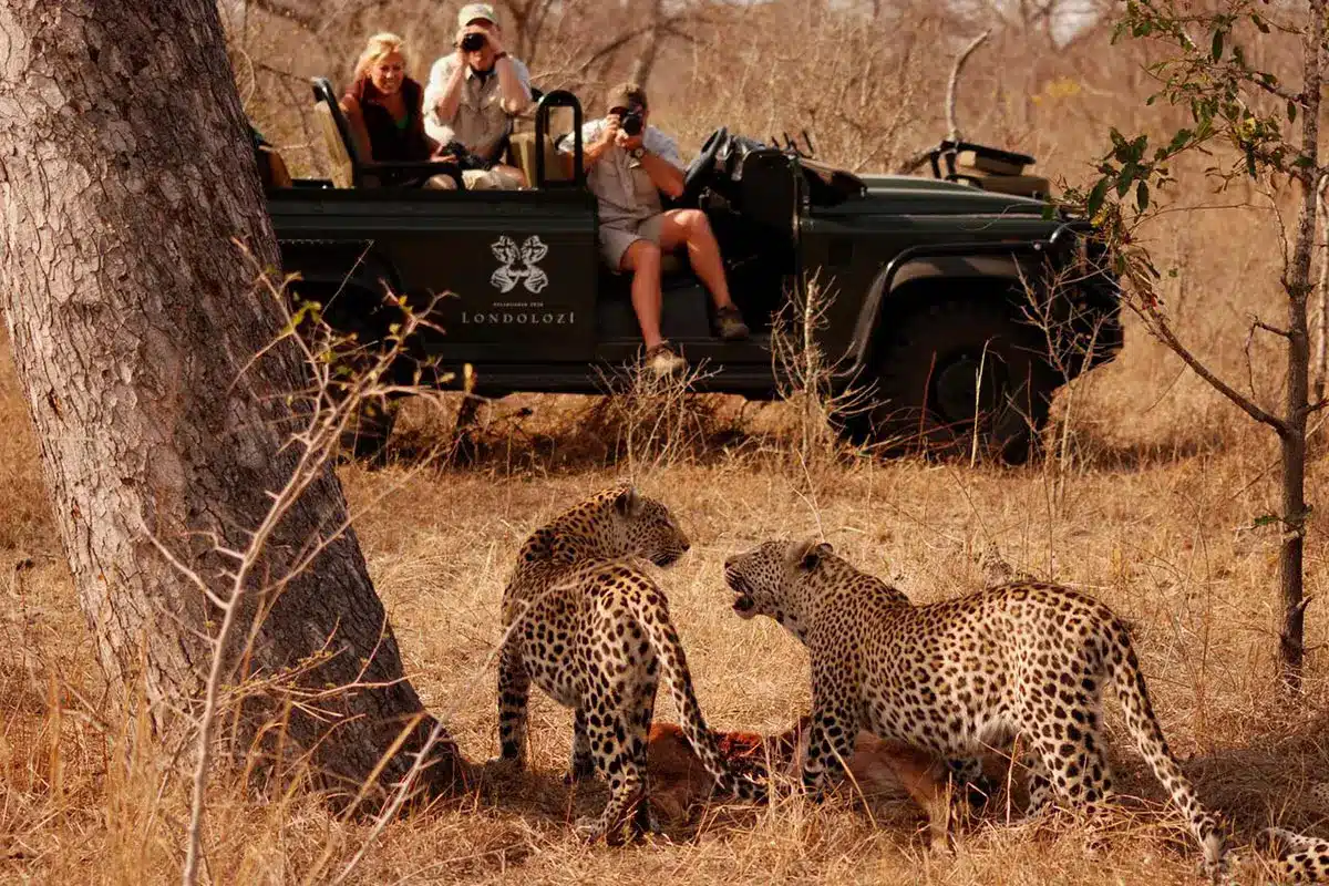 Wildlife Access: Volume, Vehicles, and Off-Road Privilege