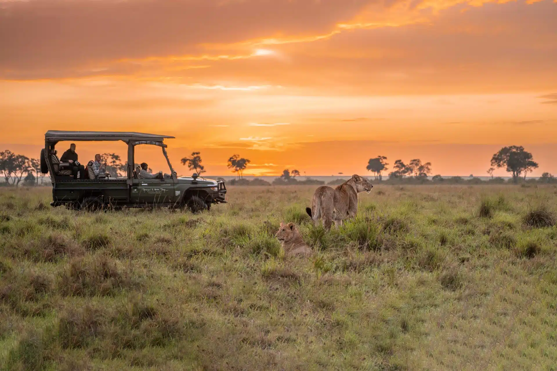 Bush Breakfast After a Sunrise Game Drive
