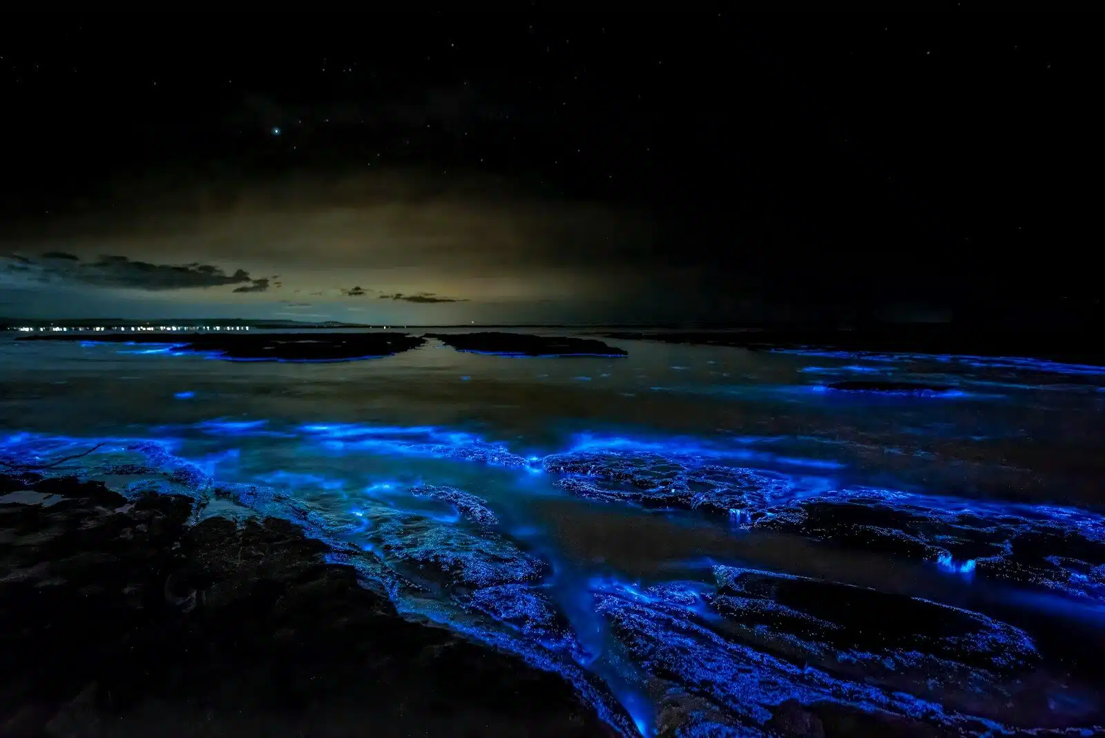 Bioluminescent blue waves washing over dark rocky shore under a starry night sky