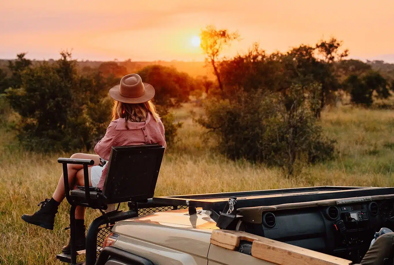 safari
