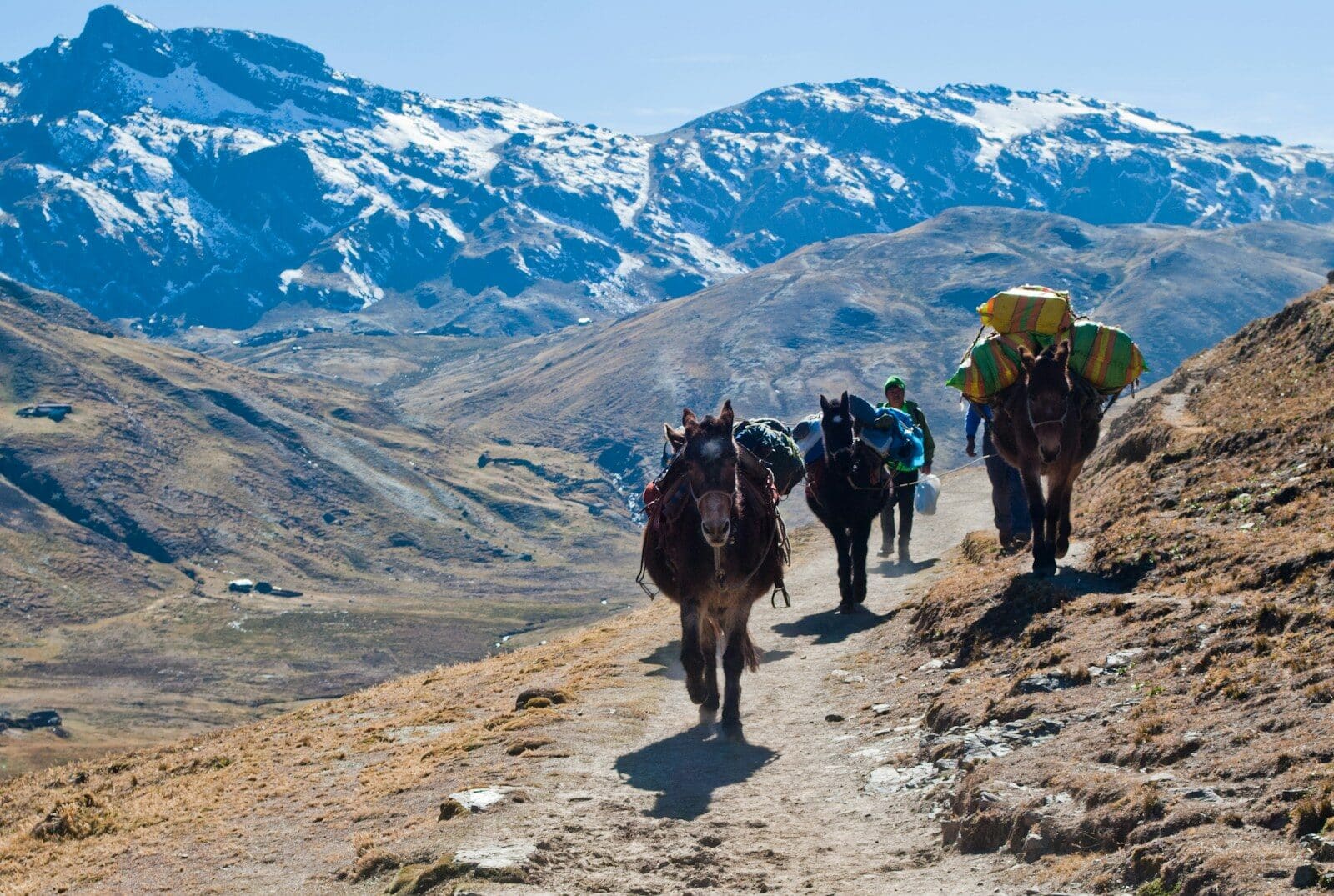Machu Picchu & the Amazon: Peru’s Andes to the Rainforest